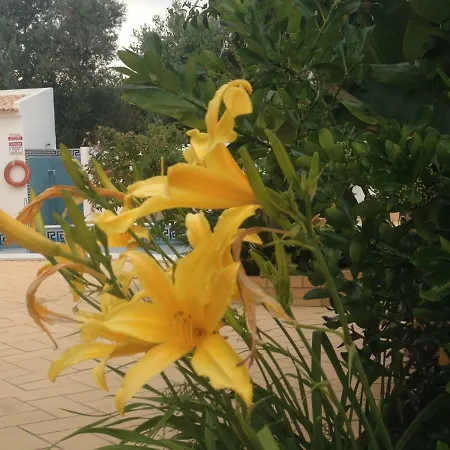 Vilabranco Albufeira Buitenkant foto