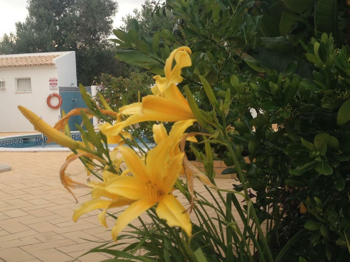 Appartement Vilabranco Albufeira